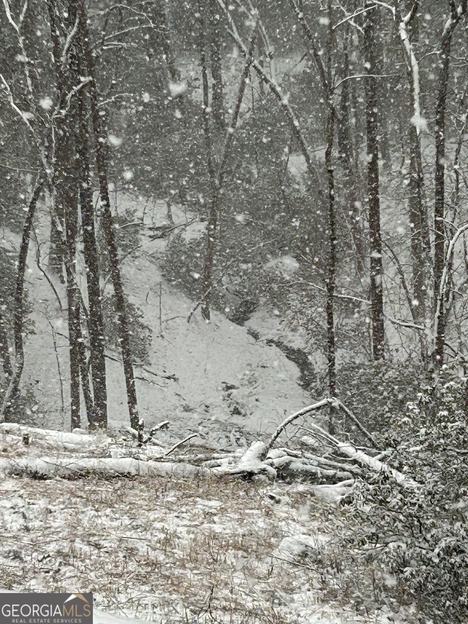 397 Early Dr — photo 80