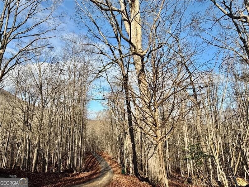 1565 Shoal Creek Nw Rd — photo 39