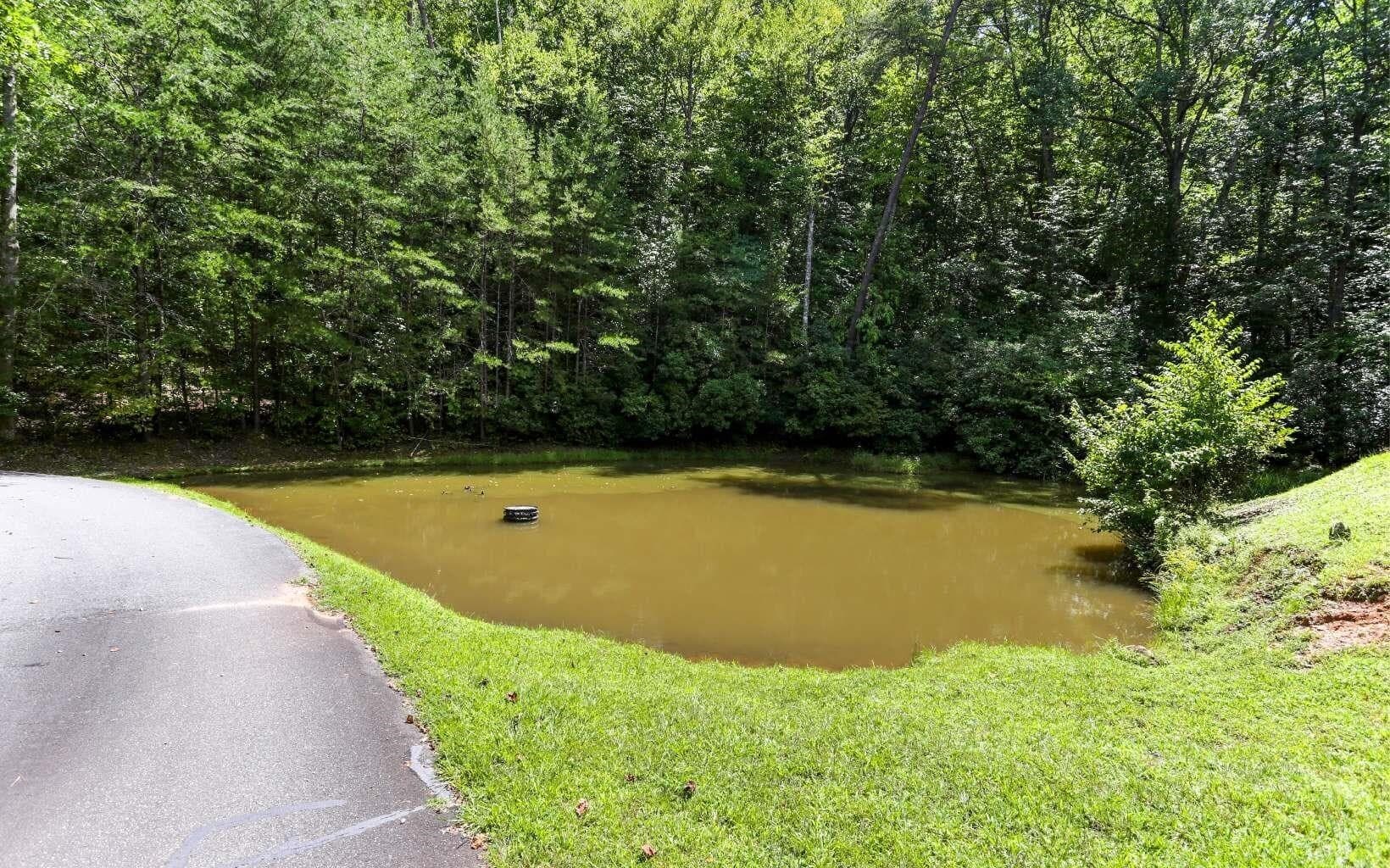 76 Hollyanne Pond Rd — photo 2