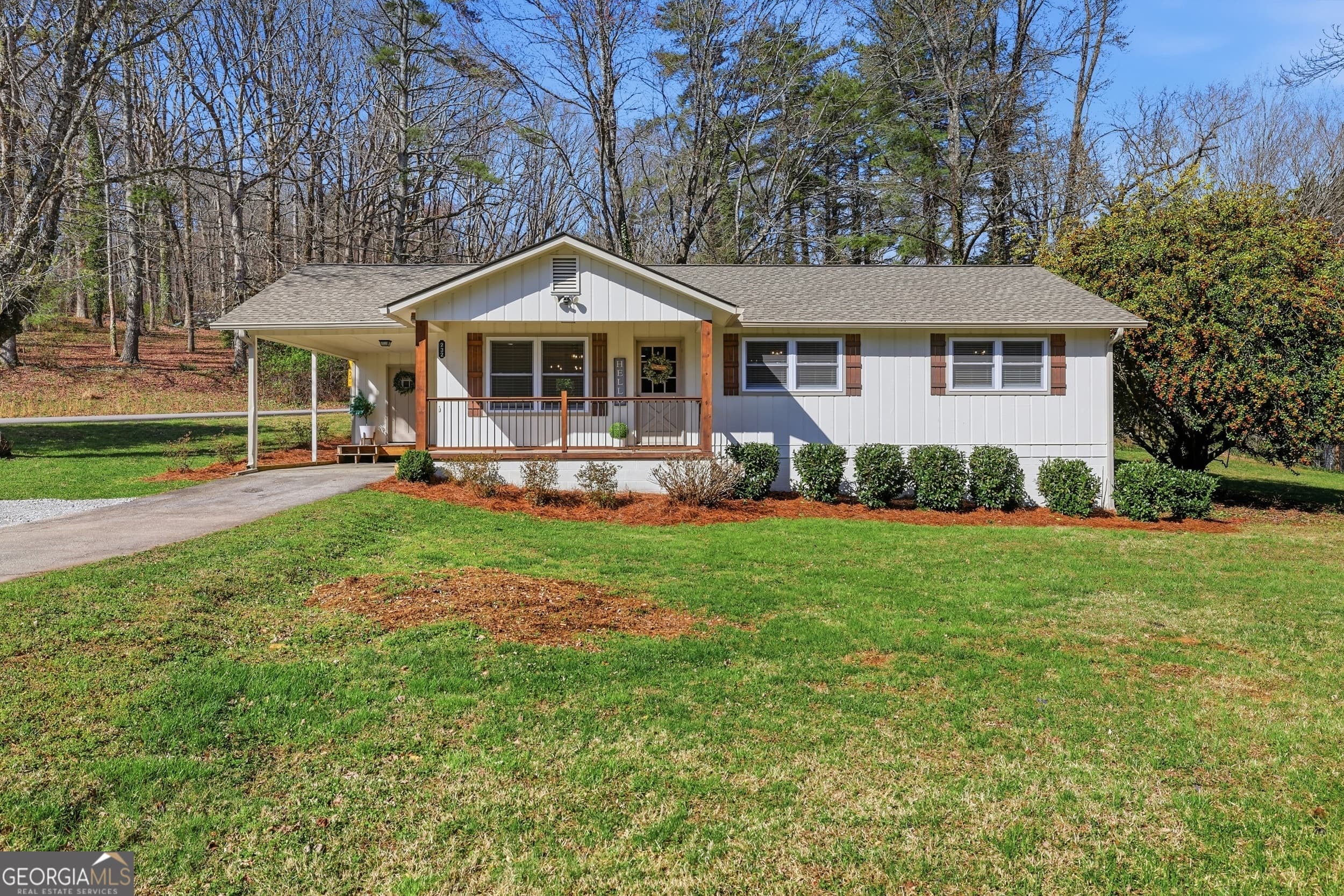 232 Stekoa Falls Rd — photo 1