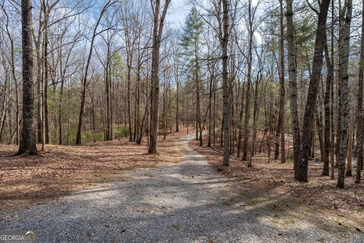 858 River Forest Run — photo 41