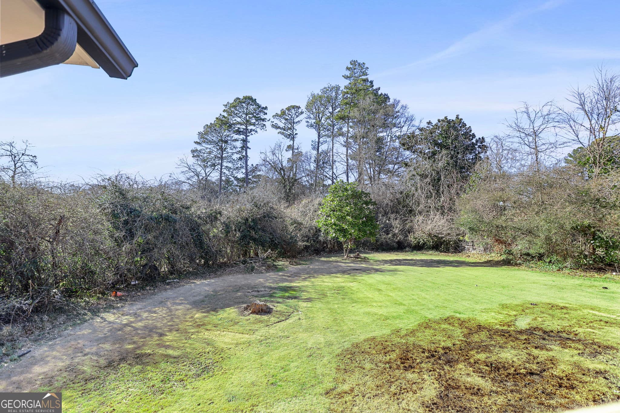 6541 Debbie Sue Ln — photo 36