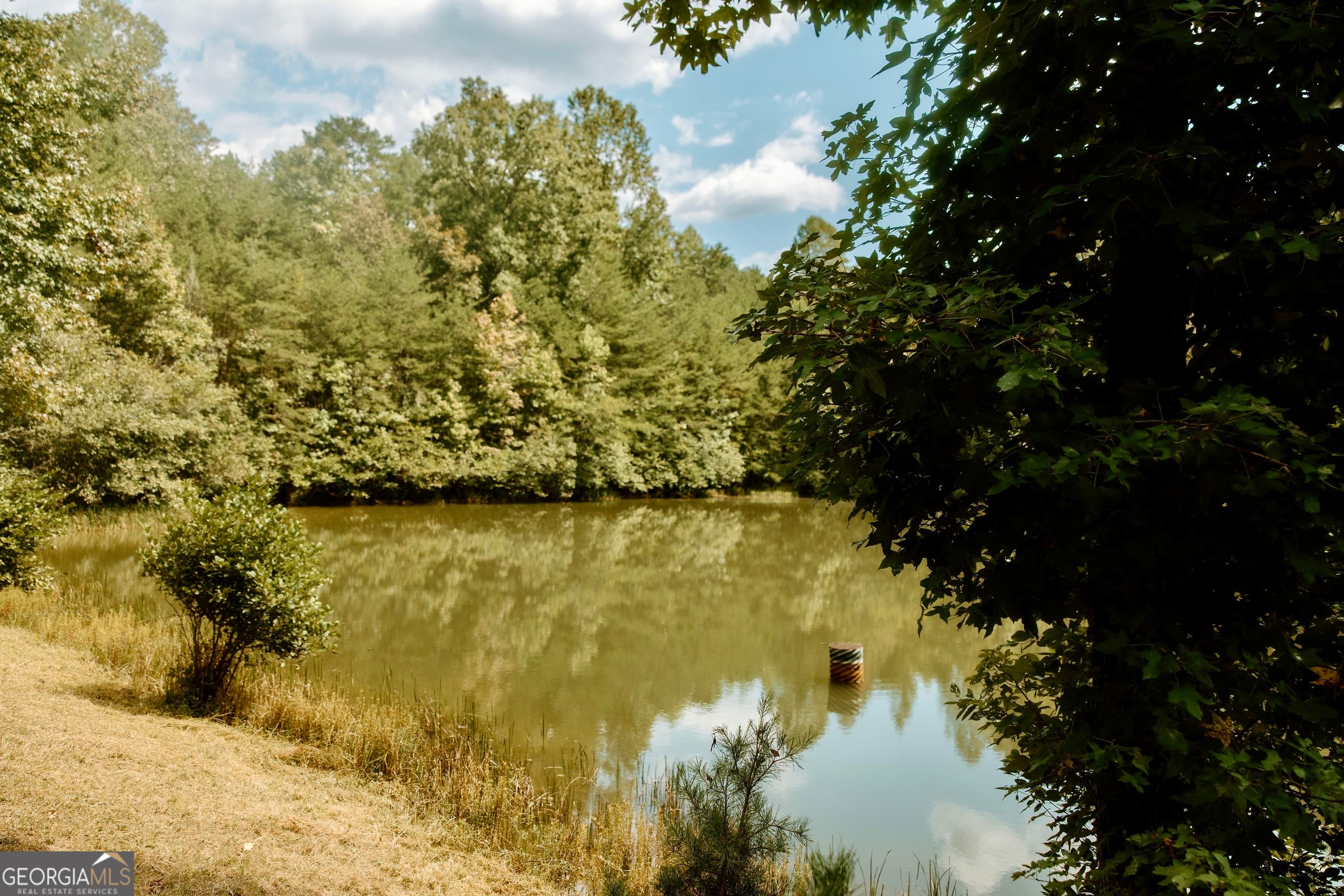 837 River Forest Run — photo 2