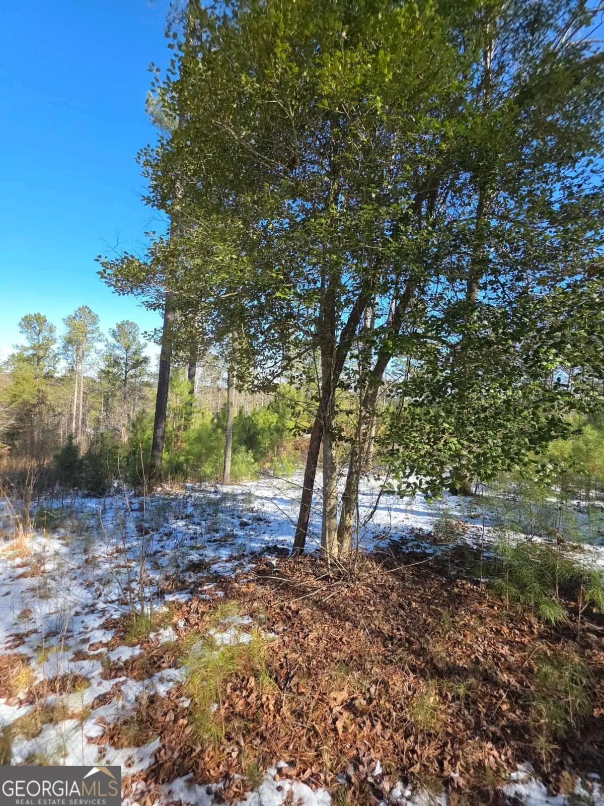 Lot 56 Hornets Bridge Dr — photo 15