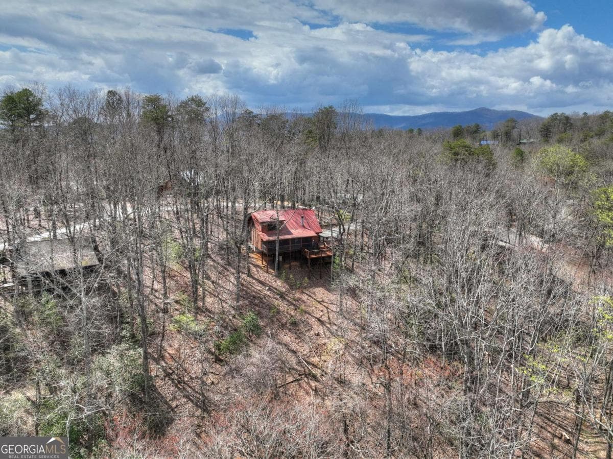 1113 Cherry Lake Dr — photo 53