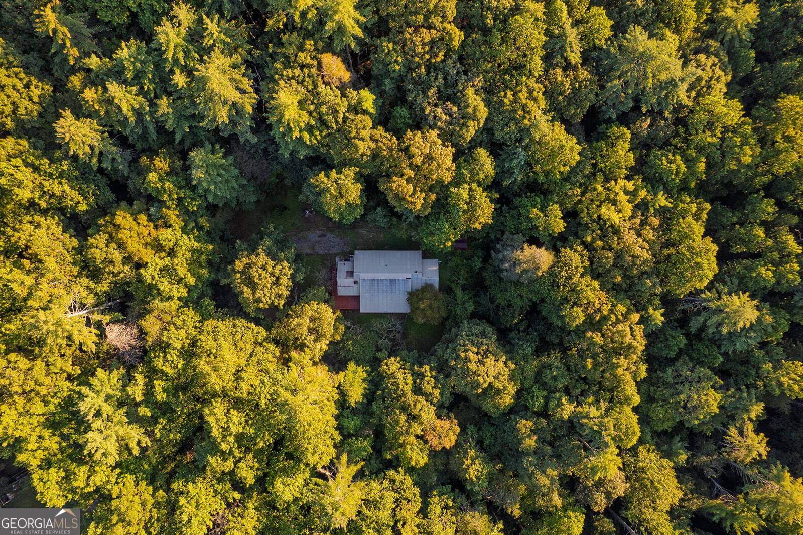 10950 Chatsworth Hwy — photo 1