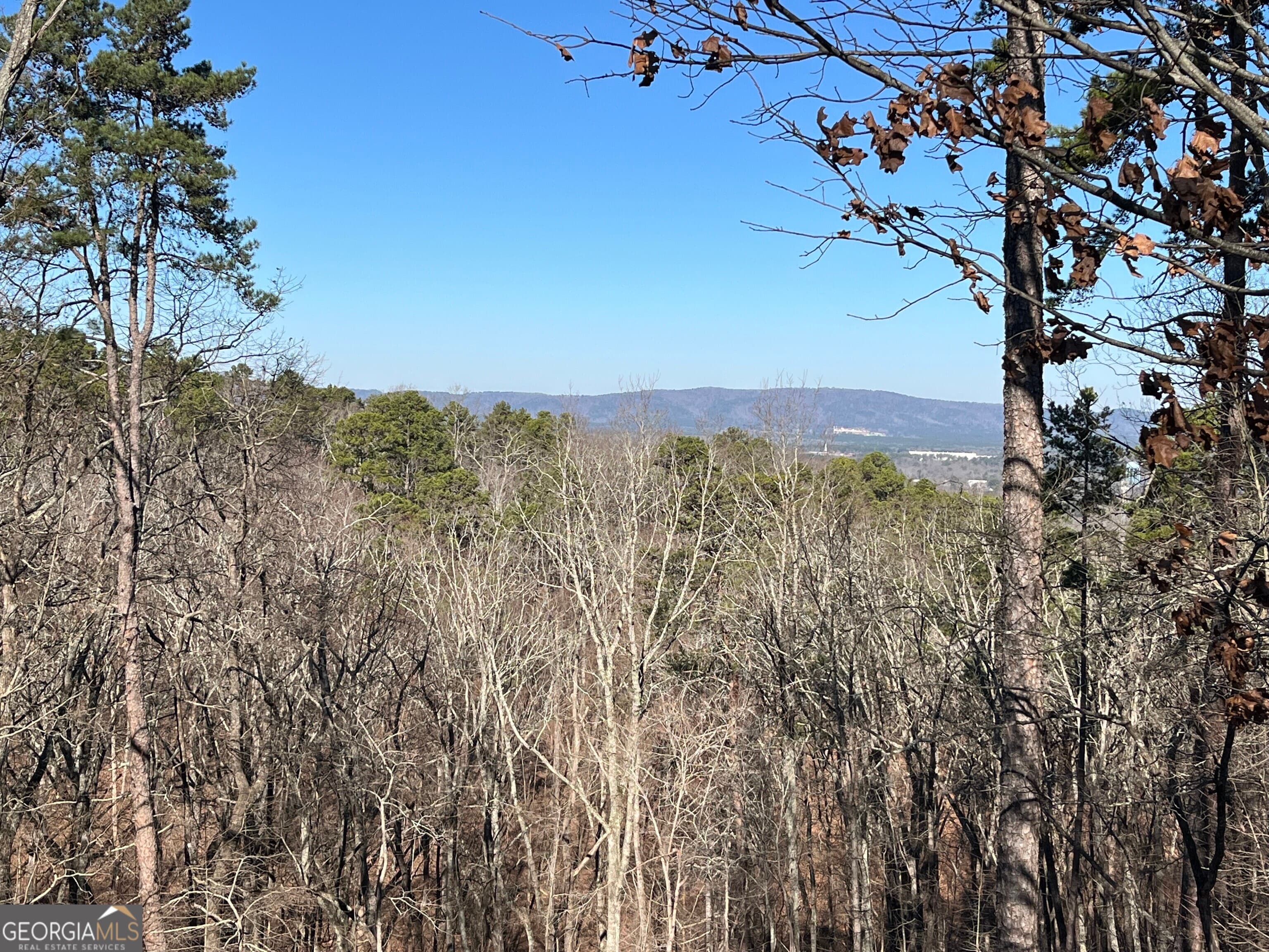 412 Mount Alto Sw Rd — photo 32