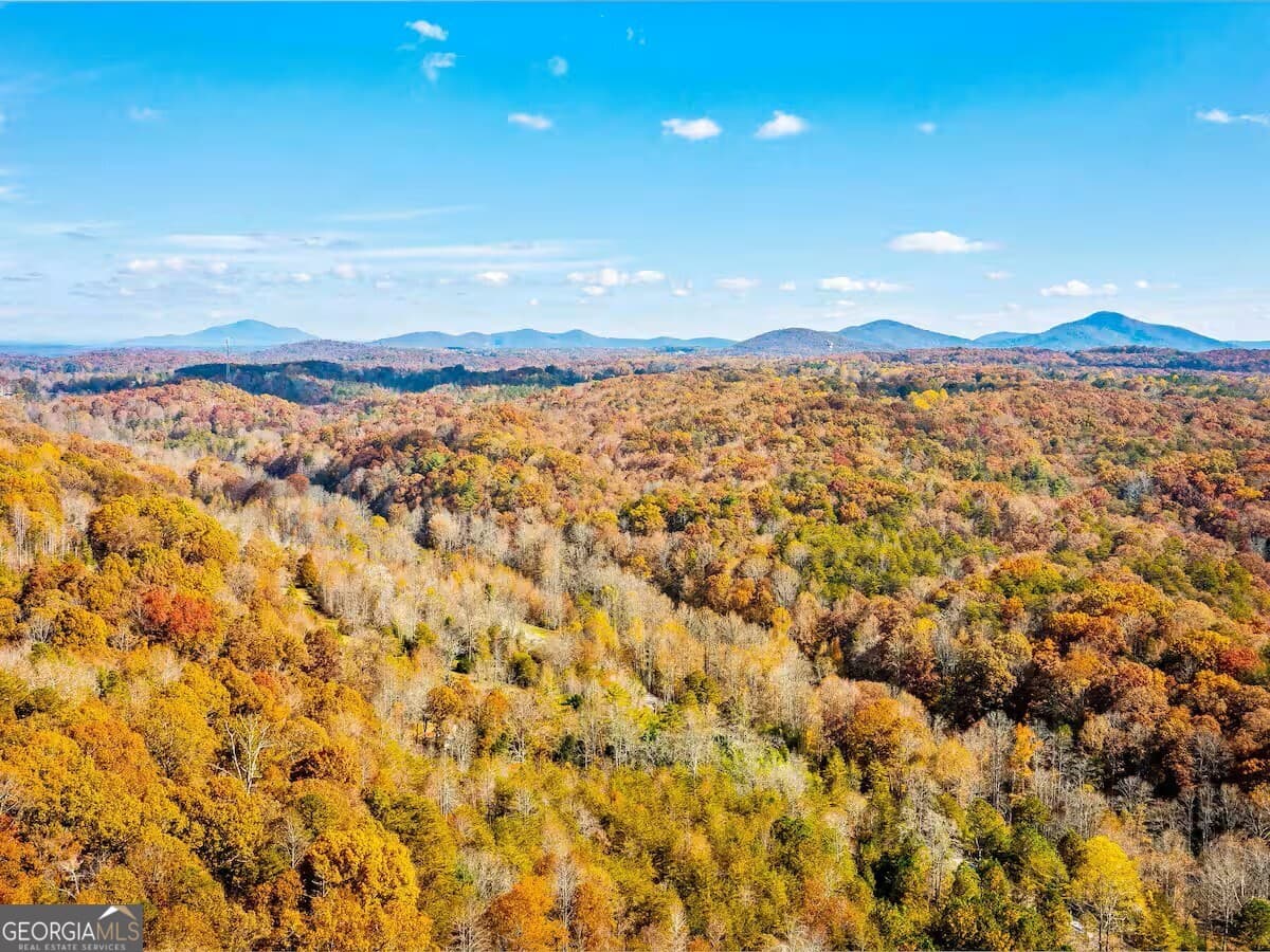 350 Azalea Ridge — photo 37