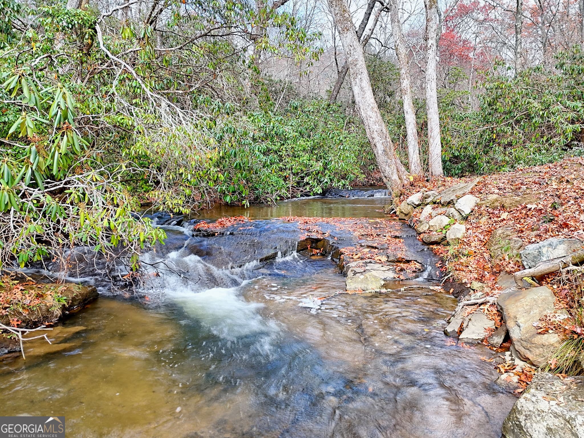 7829 Dillard Rd — photo 1