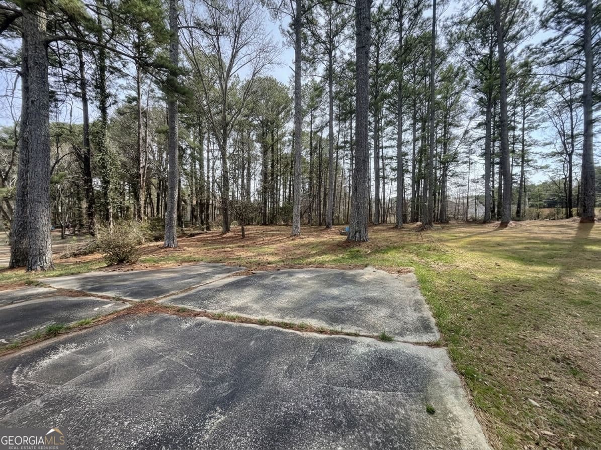 279 Timberland Trail — photo 11