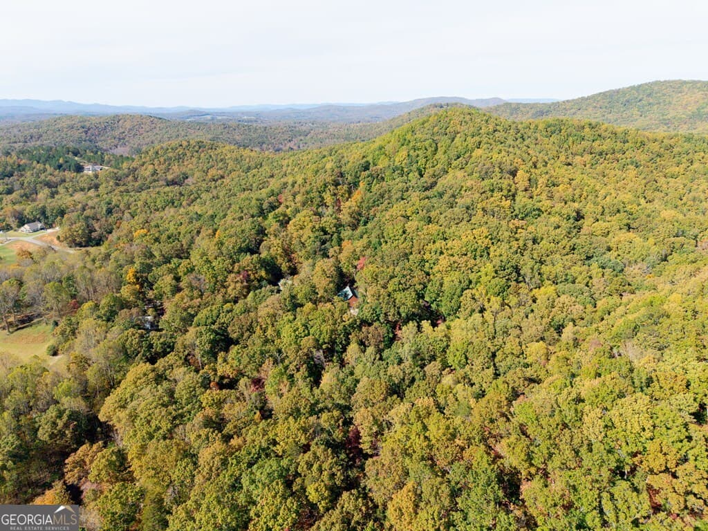 75 Covered Bridge Trail — photo 53