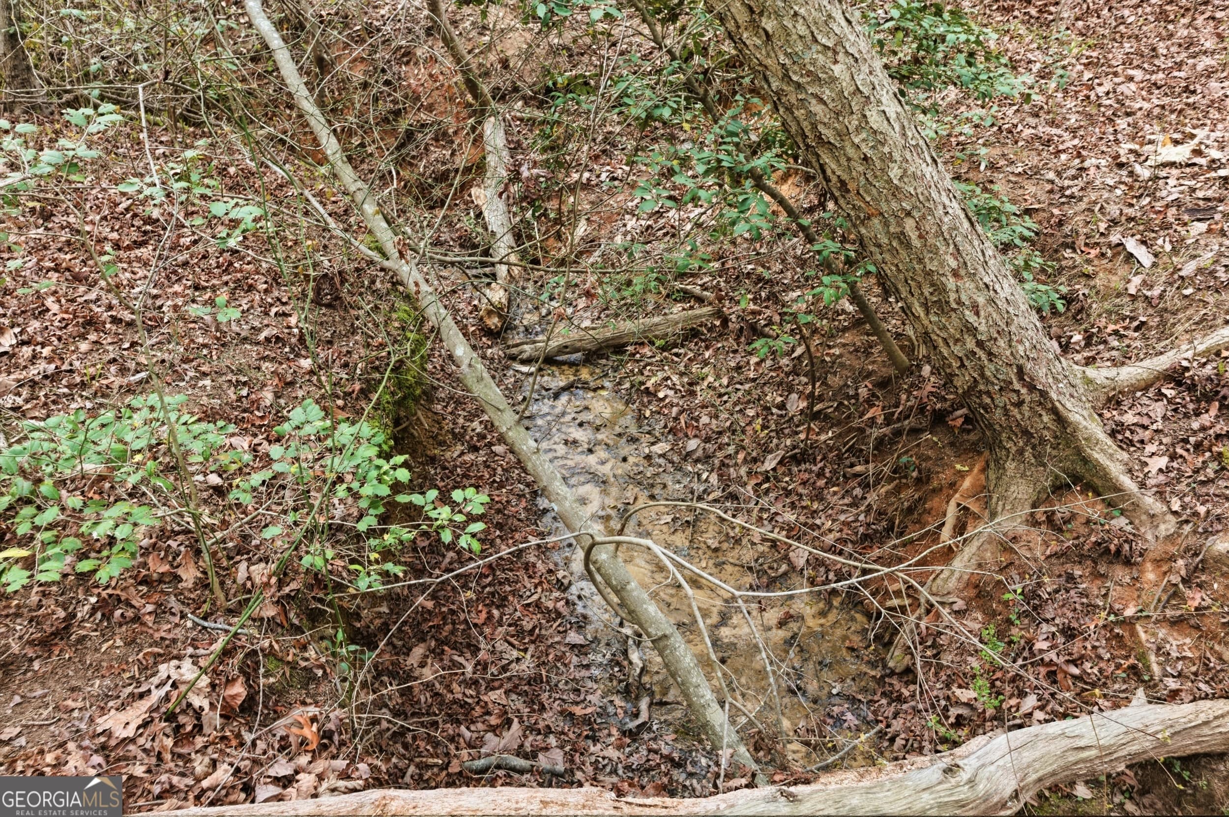 276 Bent Oak Dr — photo 45