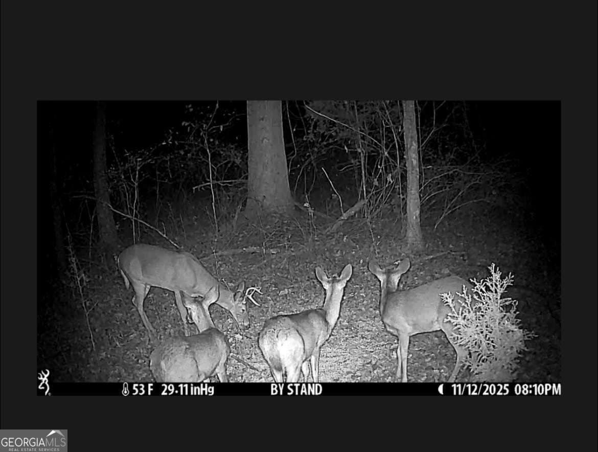 1280 Ragan Rd — photo 34