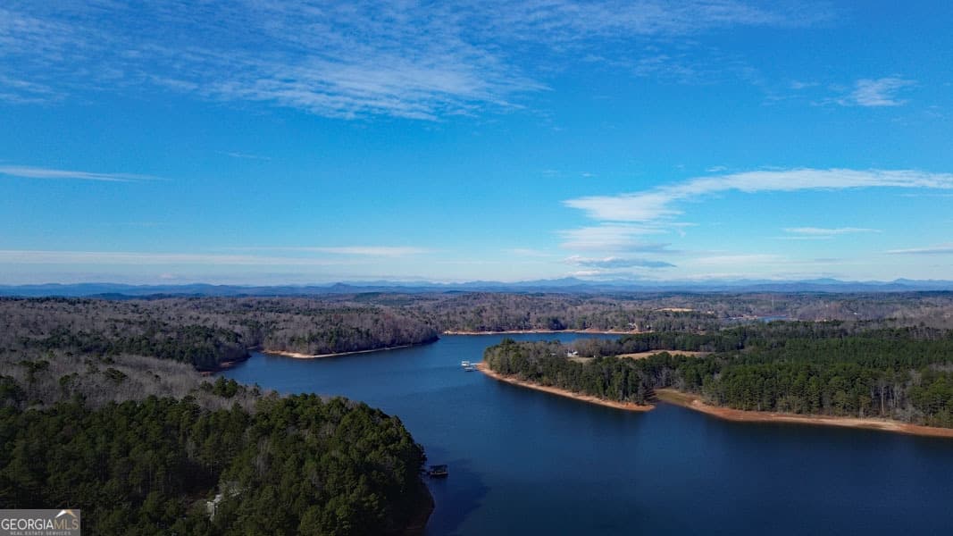 49 Currahee Point — photo 30