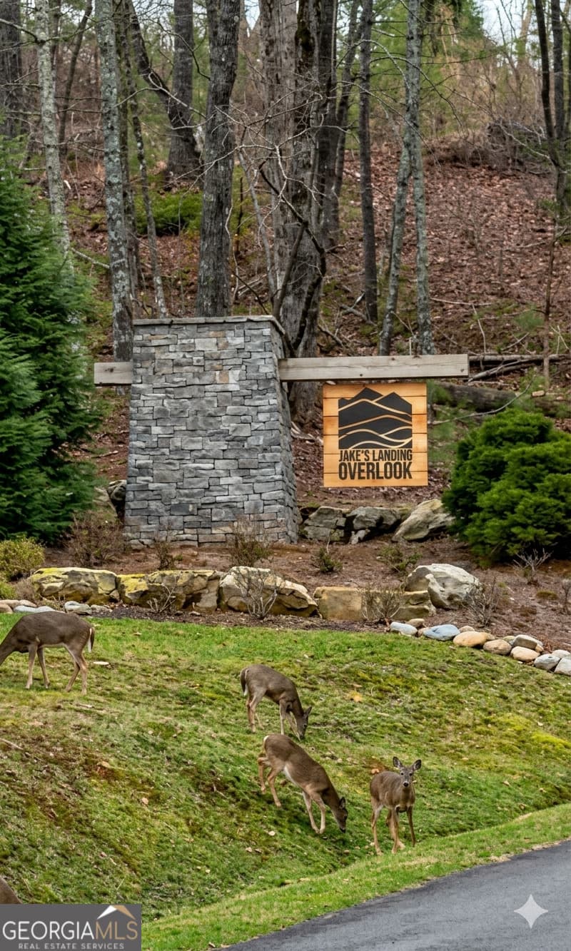 107 Lake Top Ln — photo 35