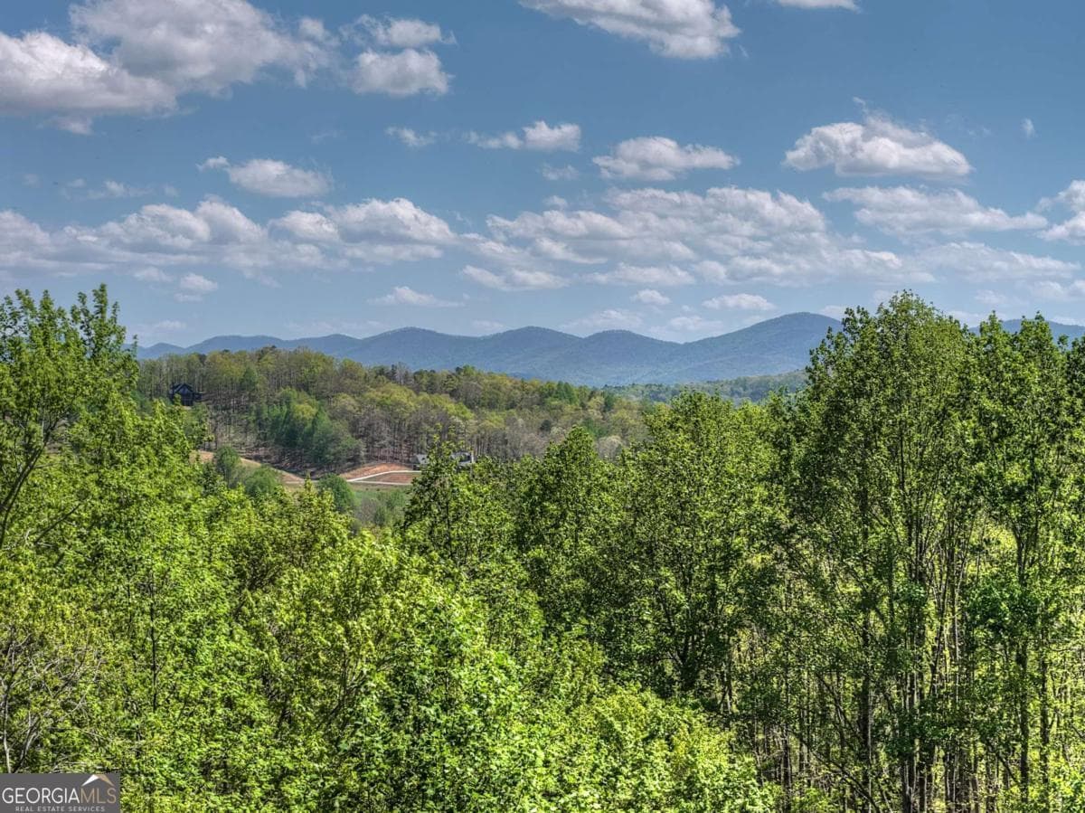 315 Blue Berry Ridge — photo 2