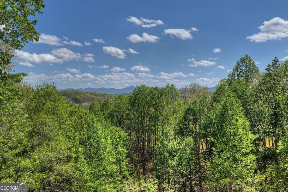 315 Blue Berry Ridge — photo 61