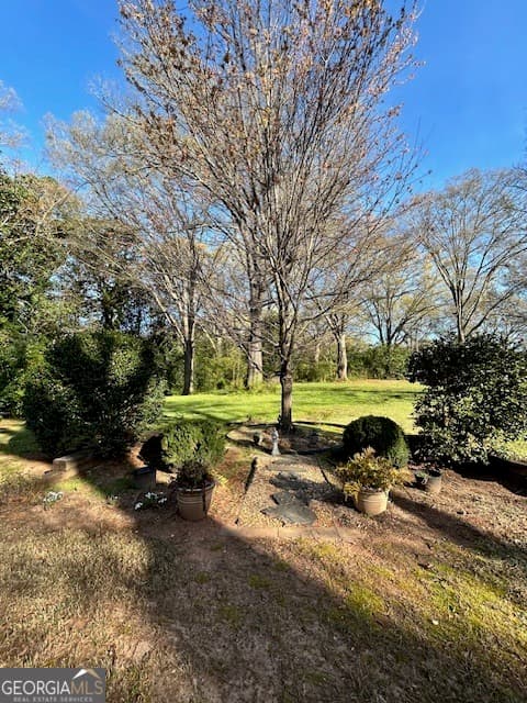 1014 E College St — photo 22