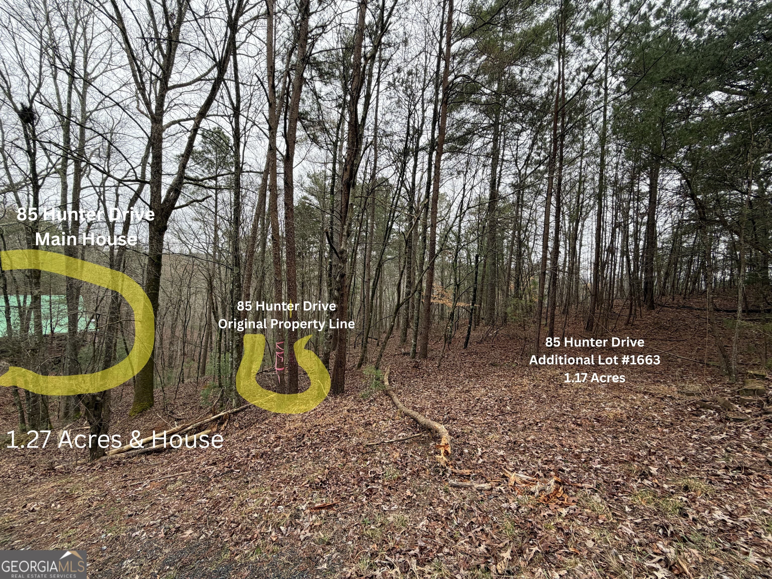 85 Hunter Dr — photo 29