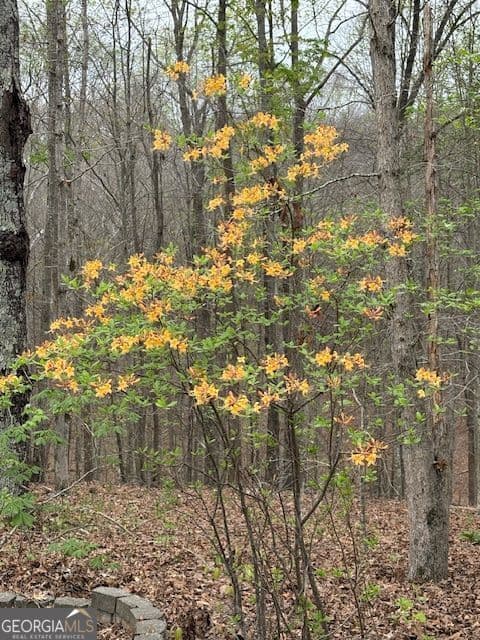 353 Riverwood Rd — photo 79