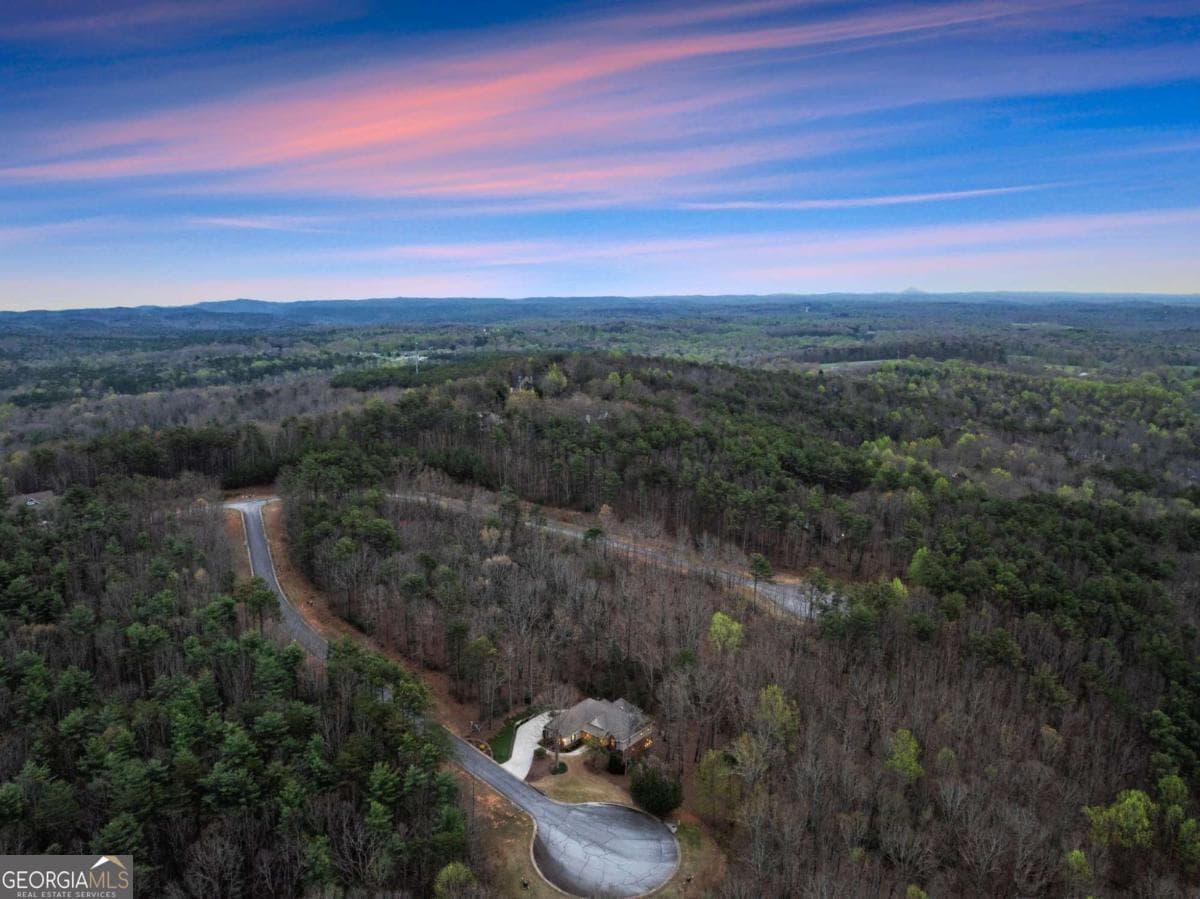 167 Early Red Pippin — photo 59