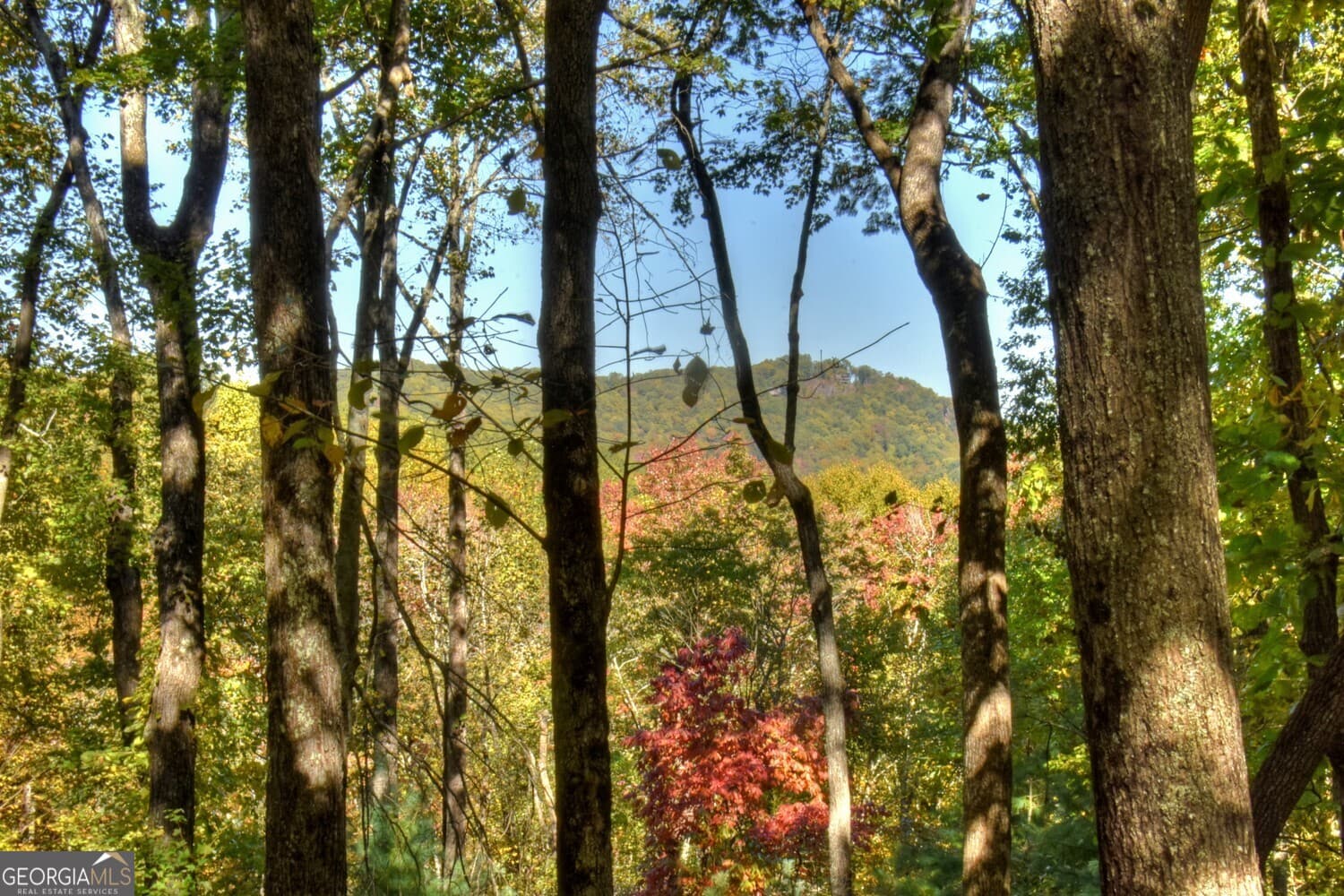 9 Joanna Ct — photo 34