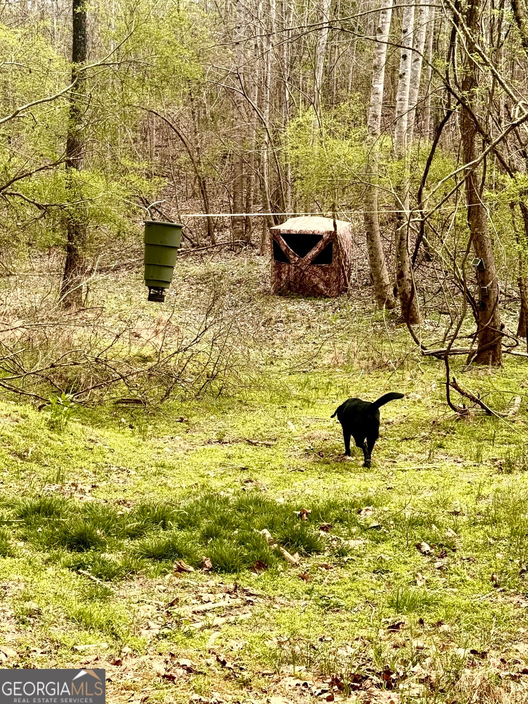 459 Nightdream Ln — photo 43