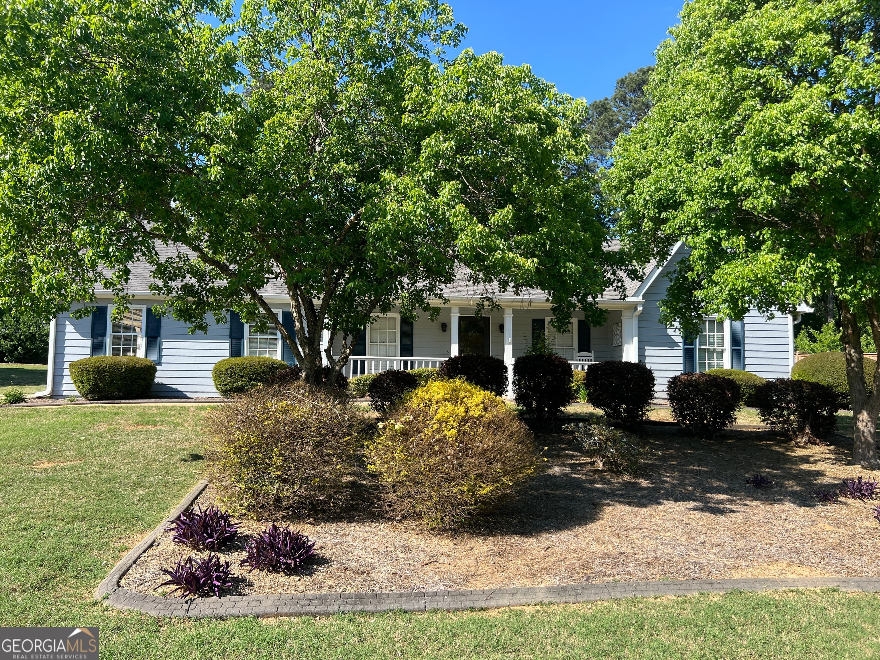 255 Pine Tree Ln — photo 2