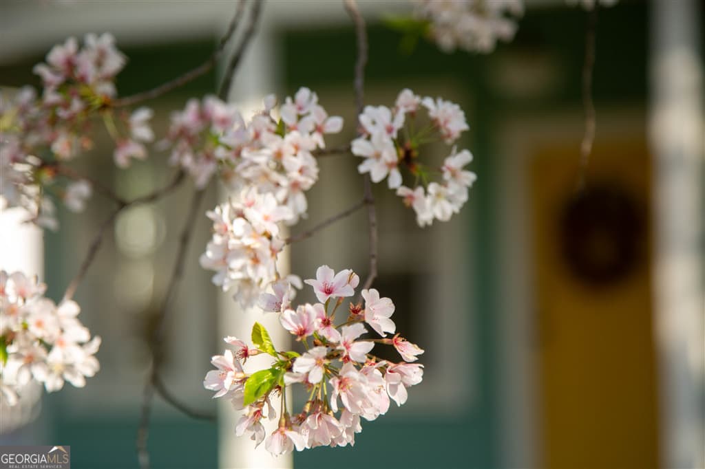 1739 Lyle Ave — photo 30