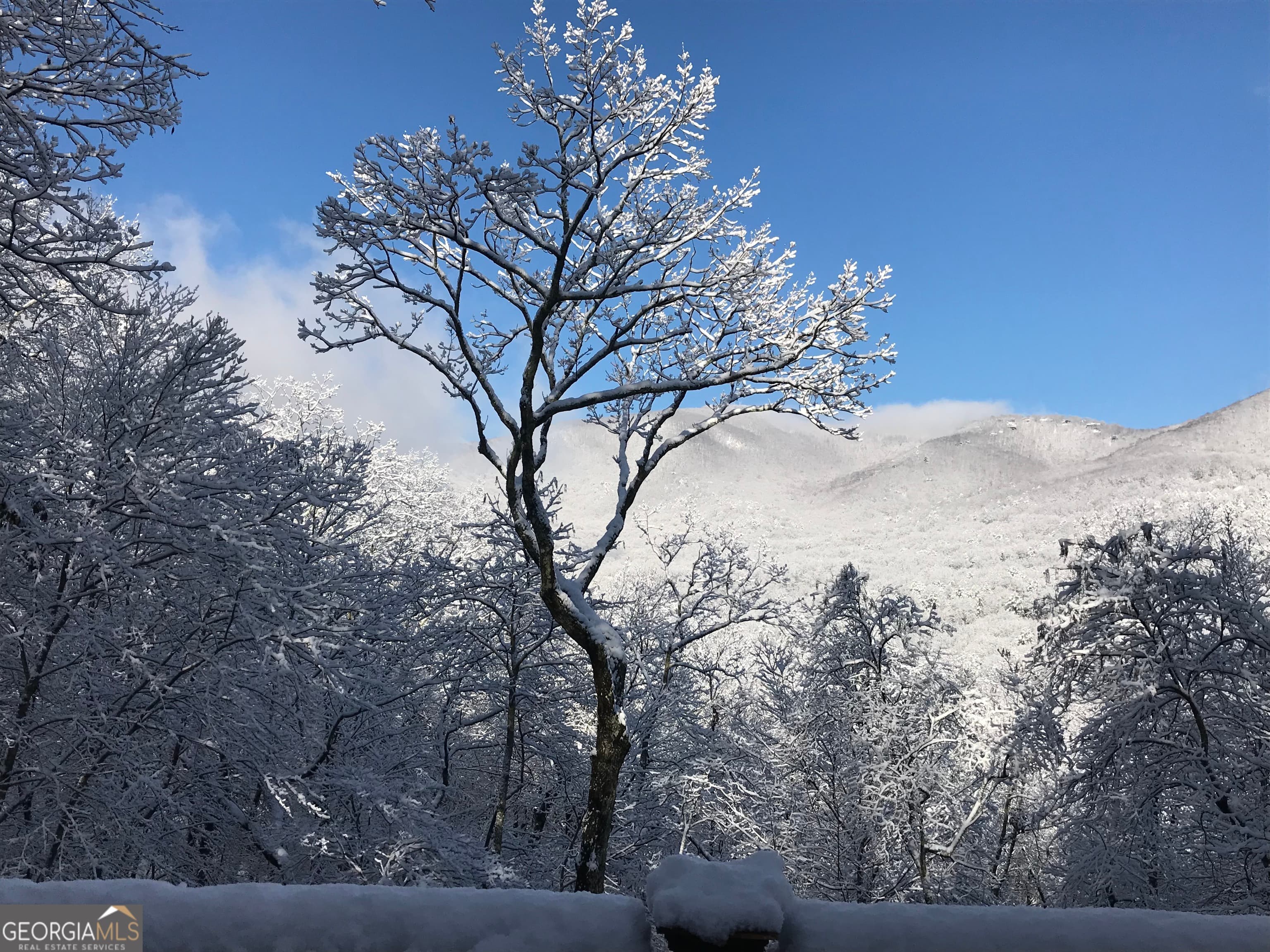 115 Chestnut Oak Point — photo 64