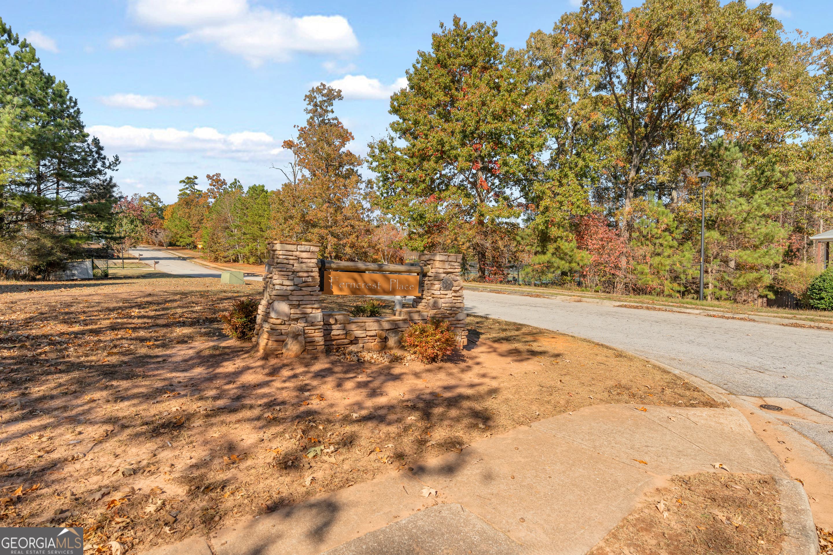 3001 Leatherleaf Trail — photo 97