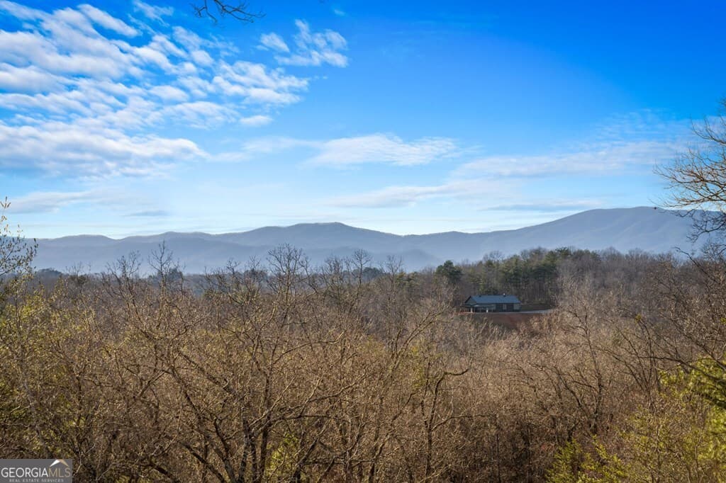 196 S Williamstown Ridge — photo 45