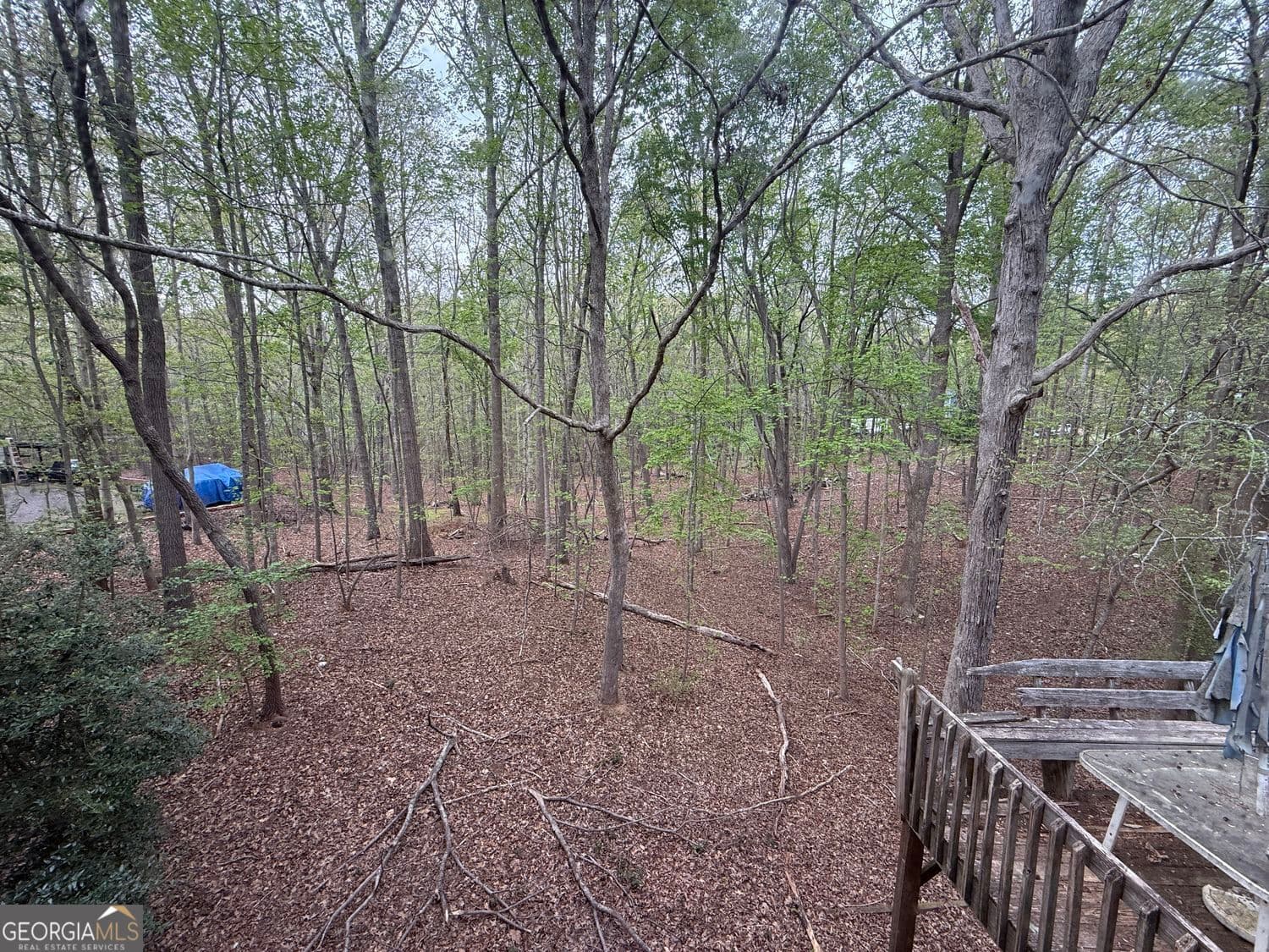 904 Allatoona Rd — photo 16