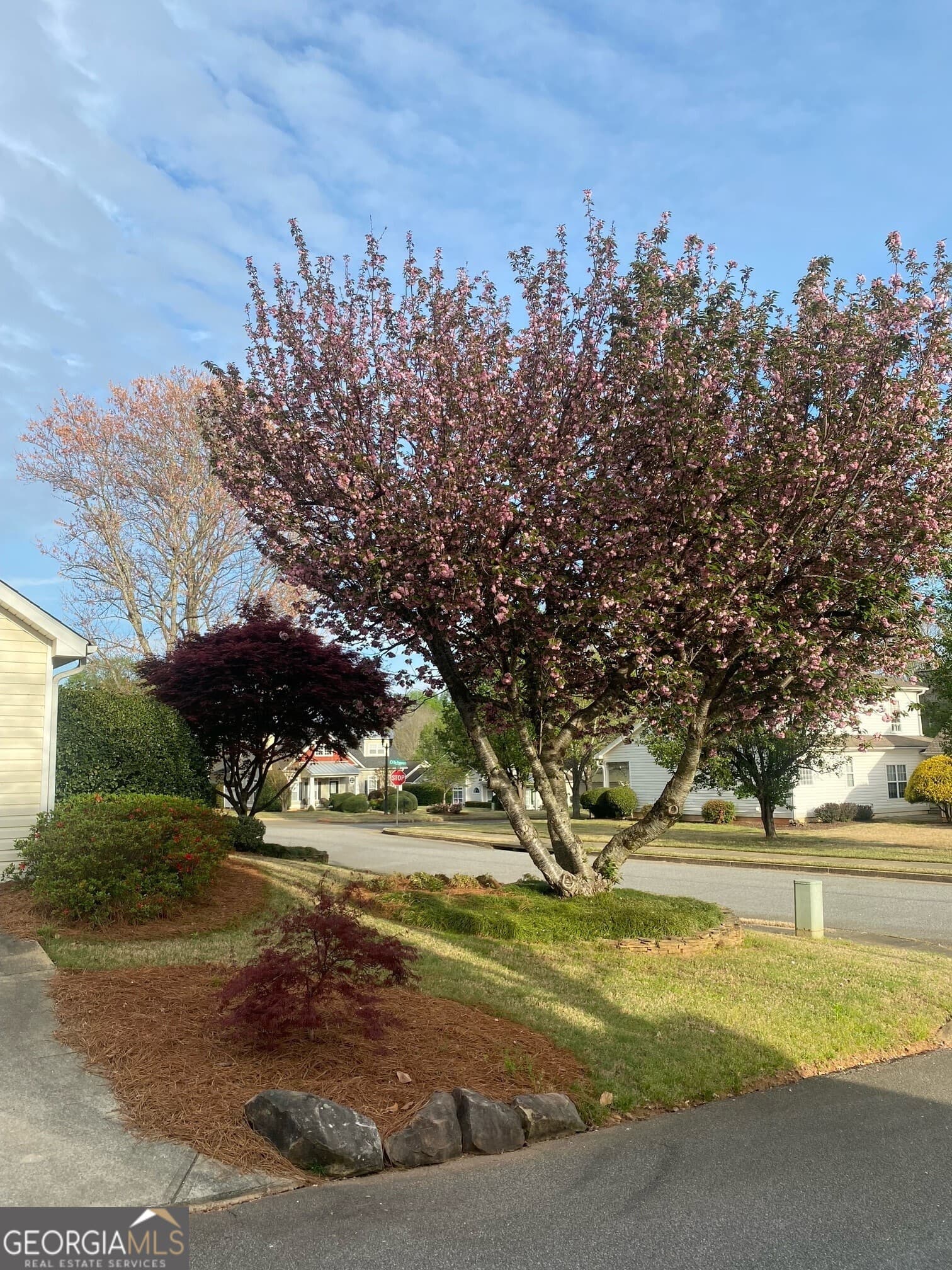 7 The Promenade — photo 42