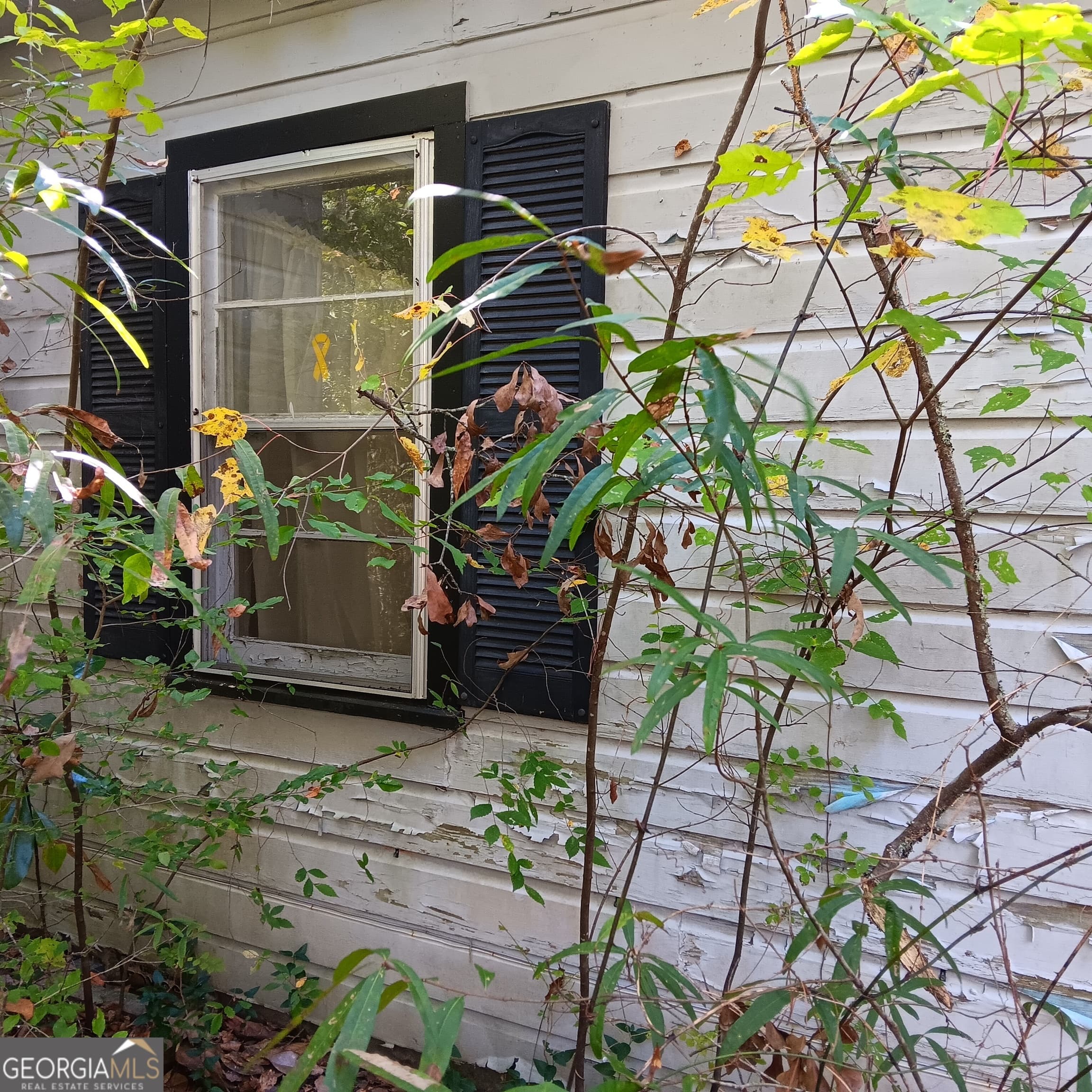 4377 Rock Mills Rd — photo 1