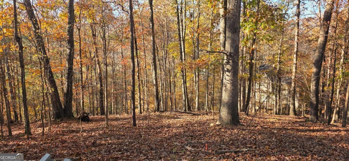 2540 Marsha Circle — photo 2