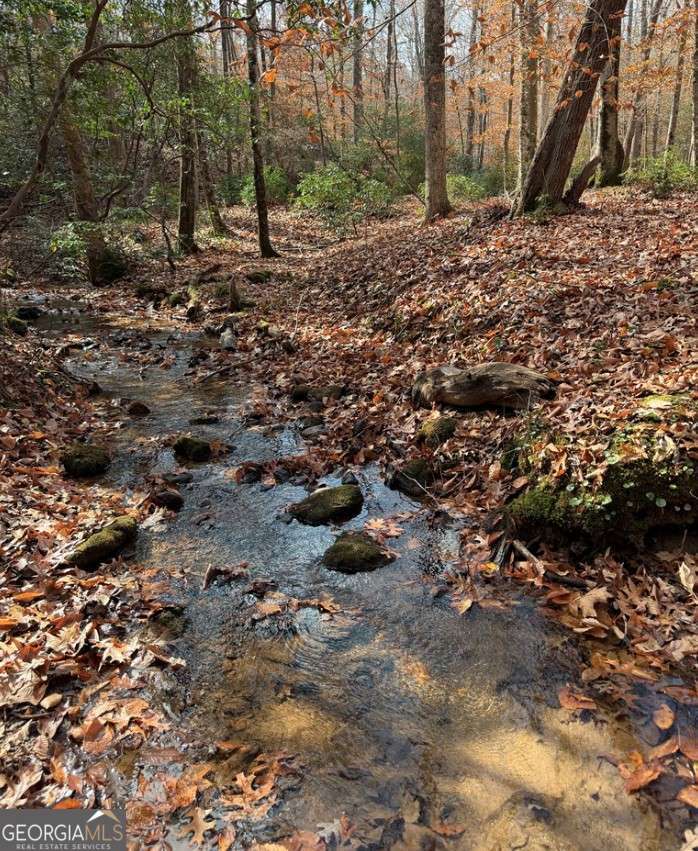 Lot A Magnums Trail A — photo 2