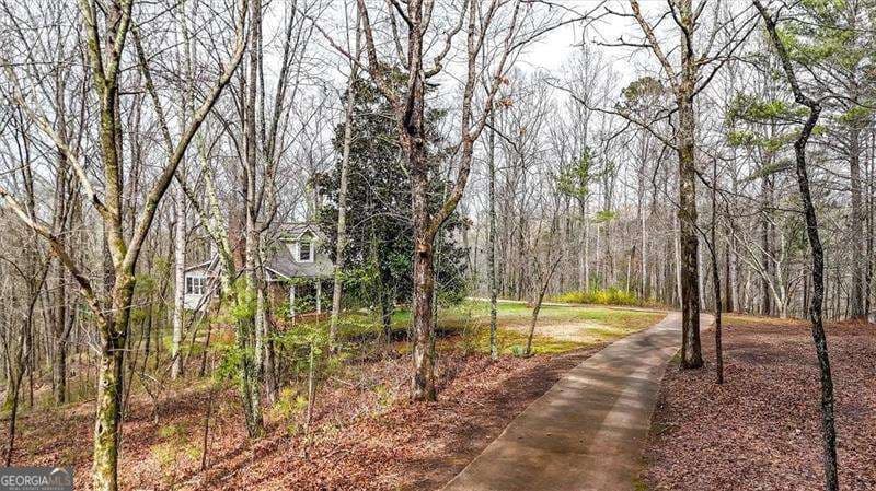 1445 Scott Rd — photo 48