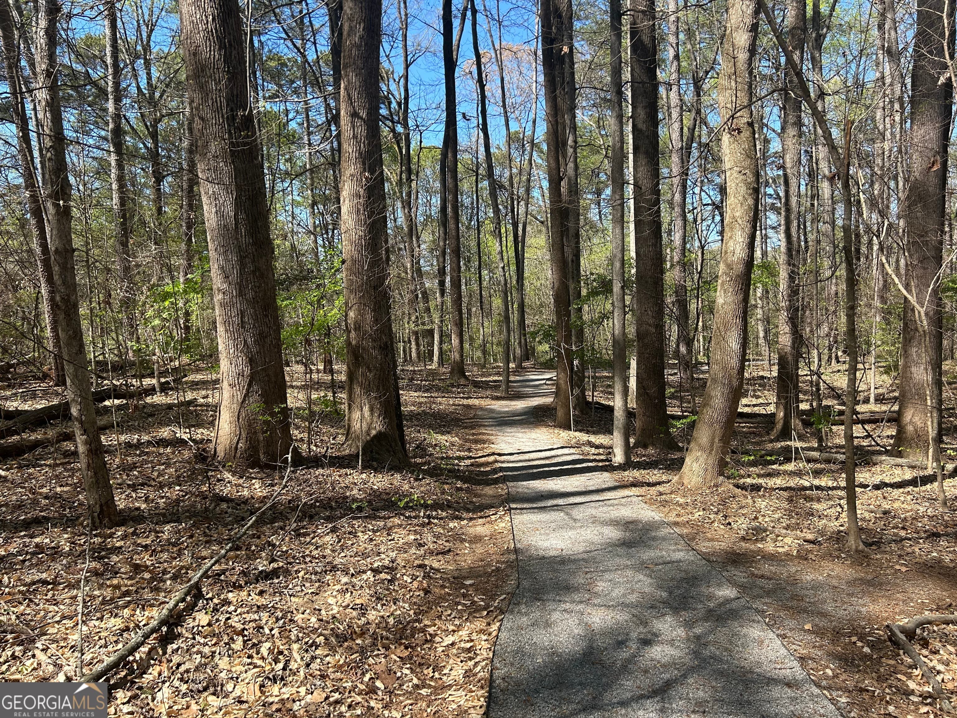 2774 Overlook Ne Dr — photo 48