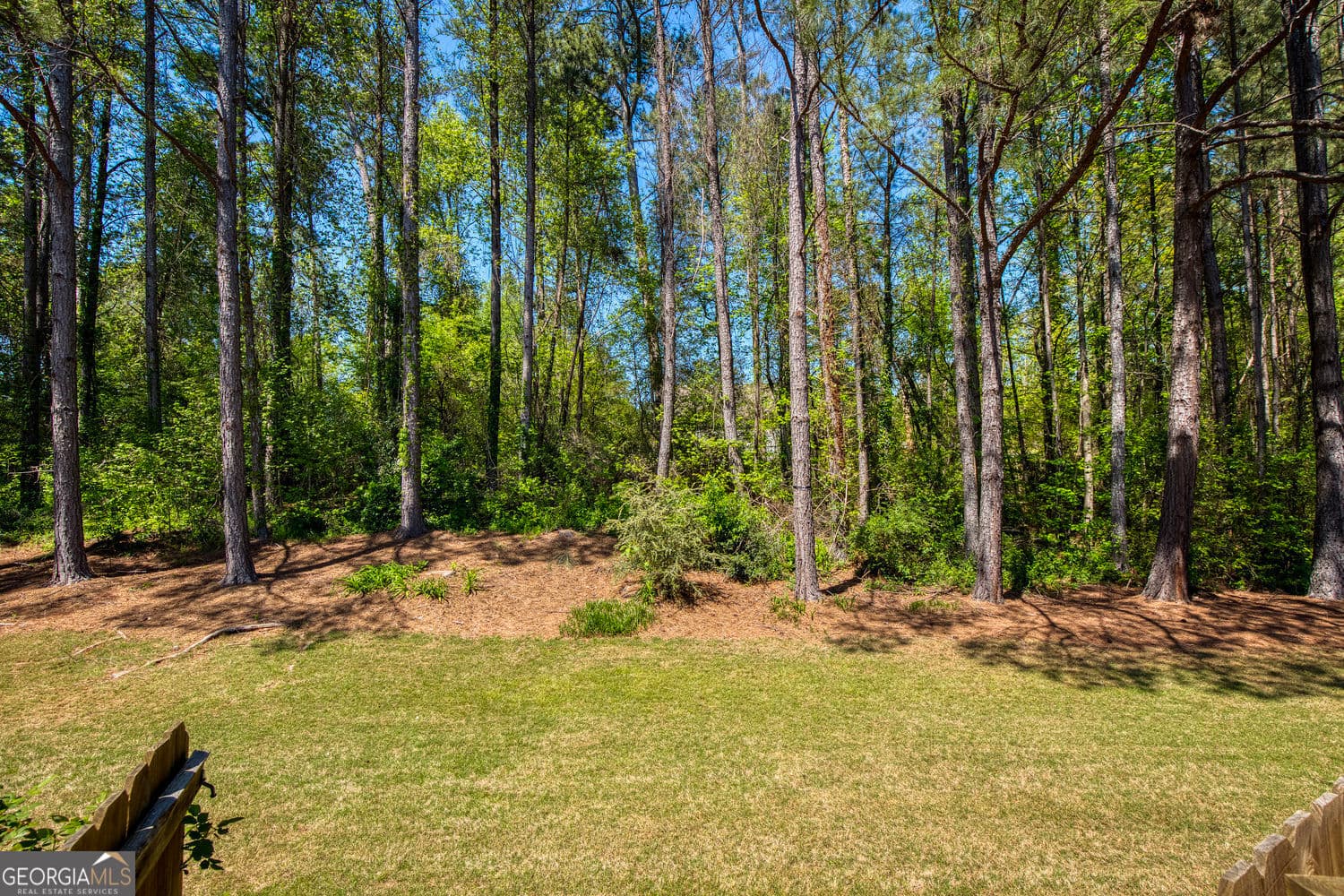 545 Canton Walk — photo 118