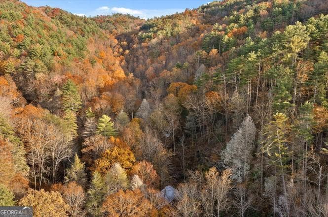 180 Cohutta Forest Rd — photo 51