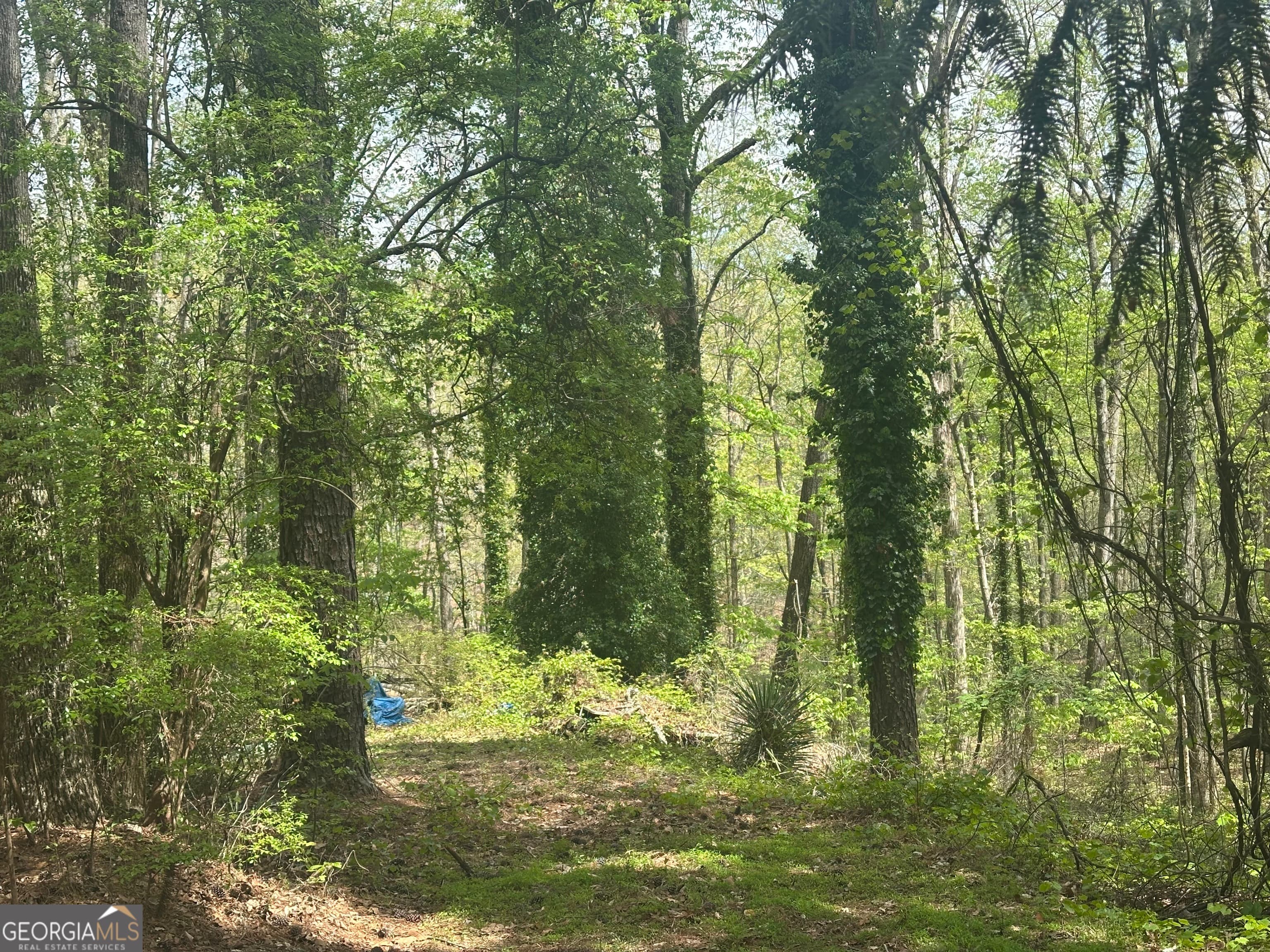 4194 Yancey Rd — photo 2