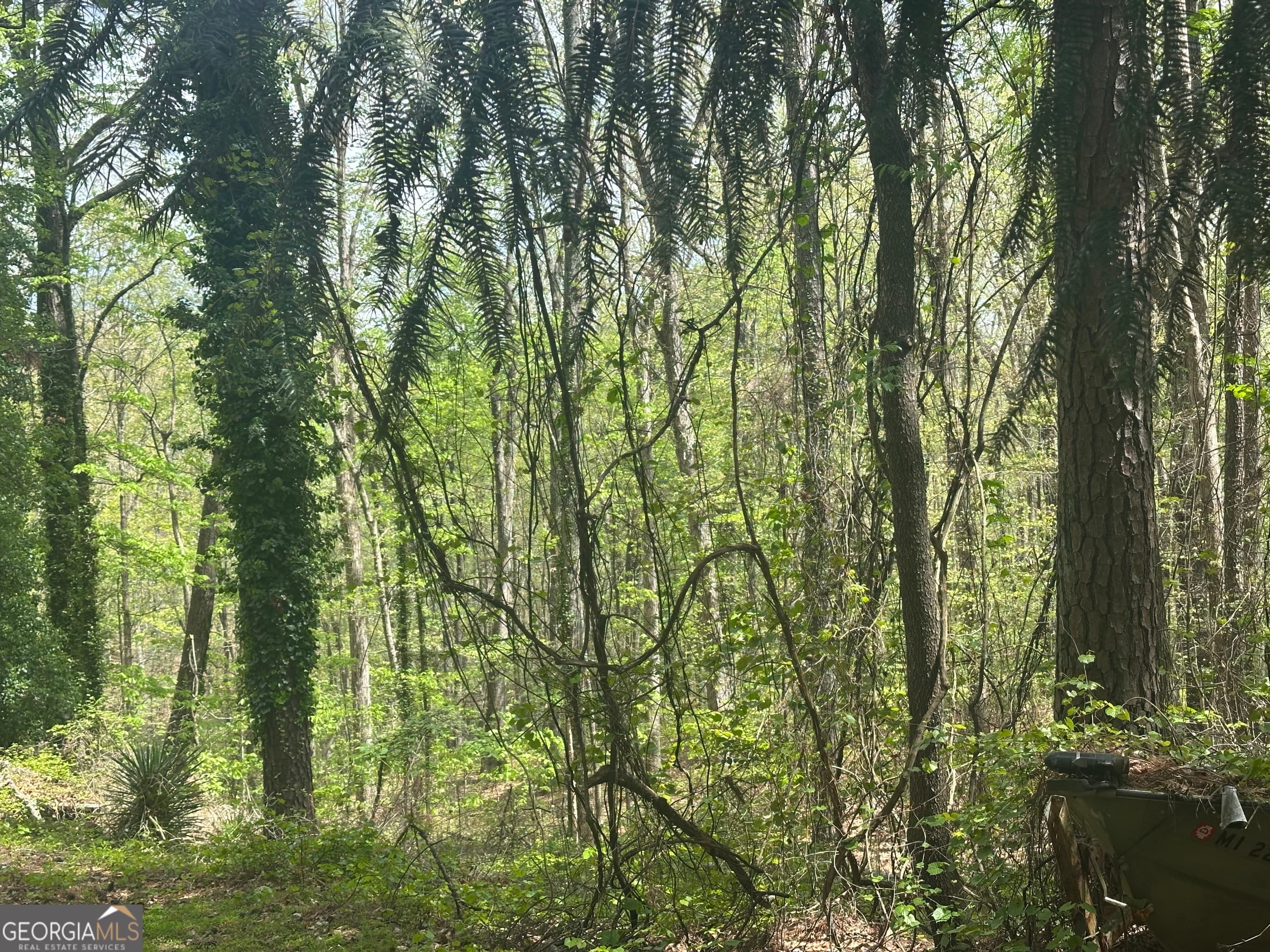 4194 Yancey Rd — photo 4