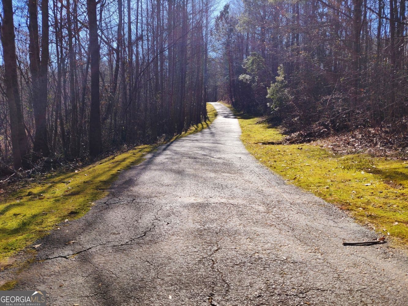 136 Baldwin Ct — photo 39