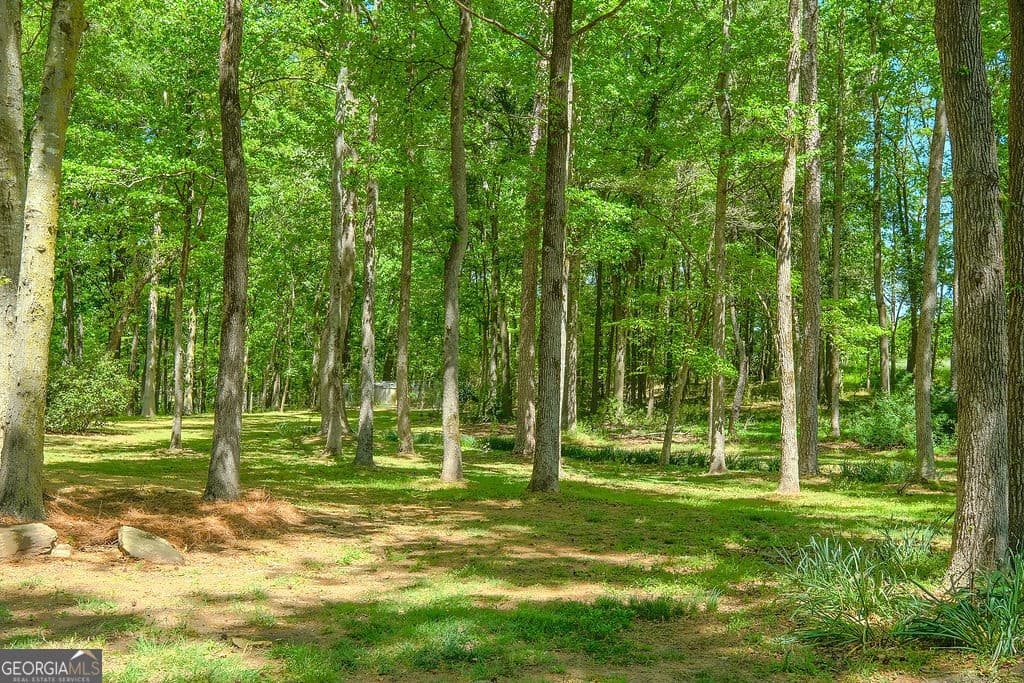 838 Buford Carey Rd — photo 42