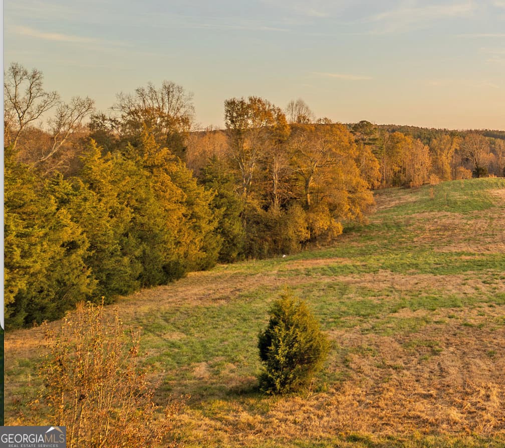 411 Griffin Rd — photo 22