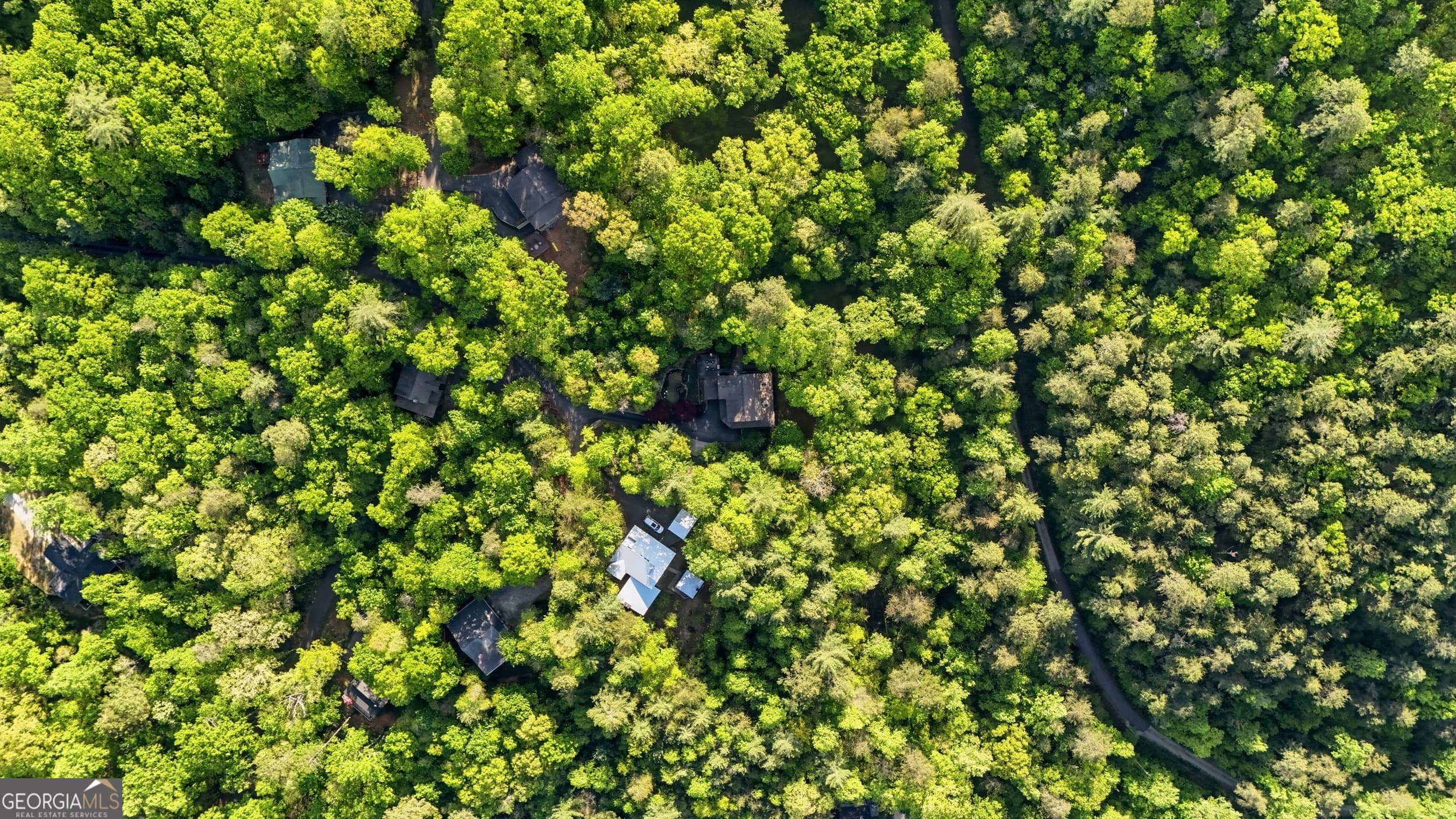 319 Mystic View Ln — photo 46