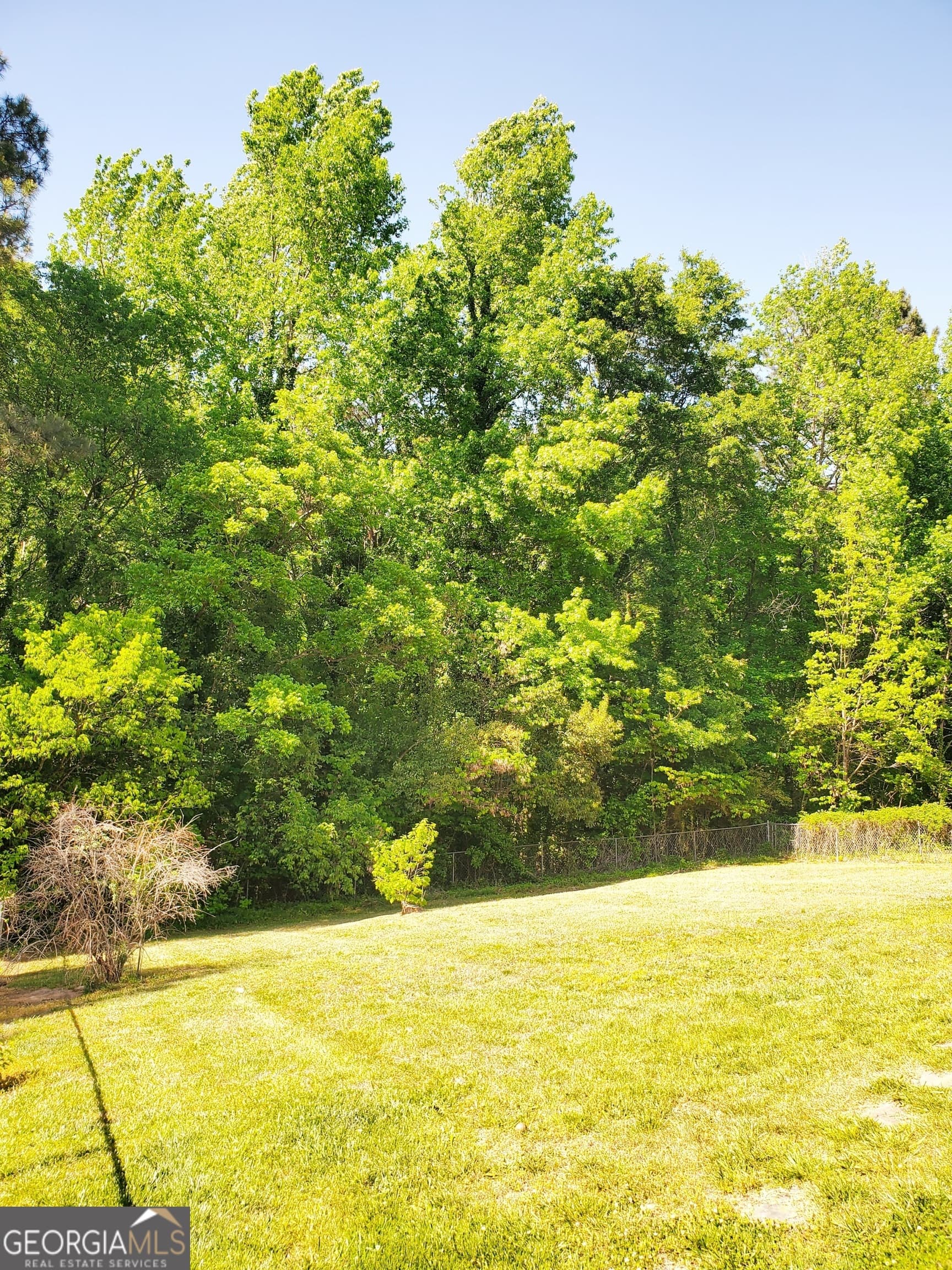 59 Lucille Ln — photo 12