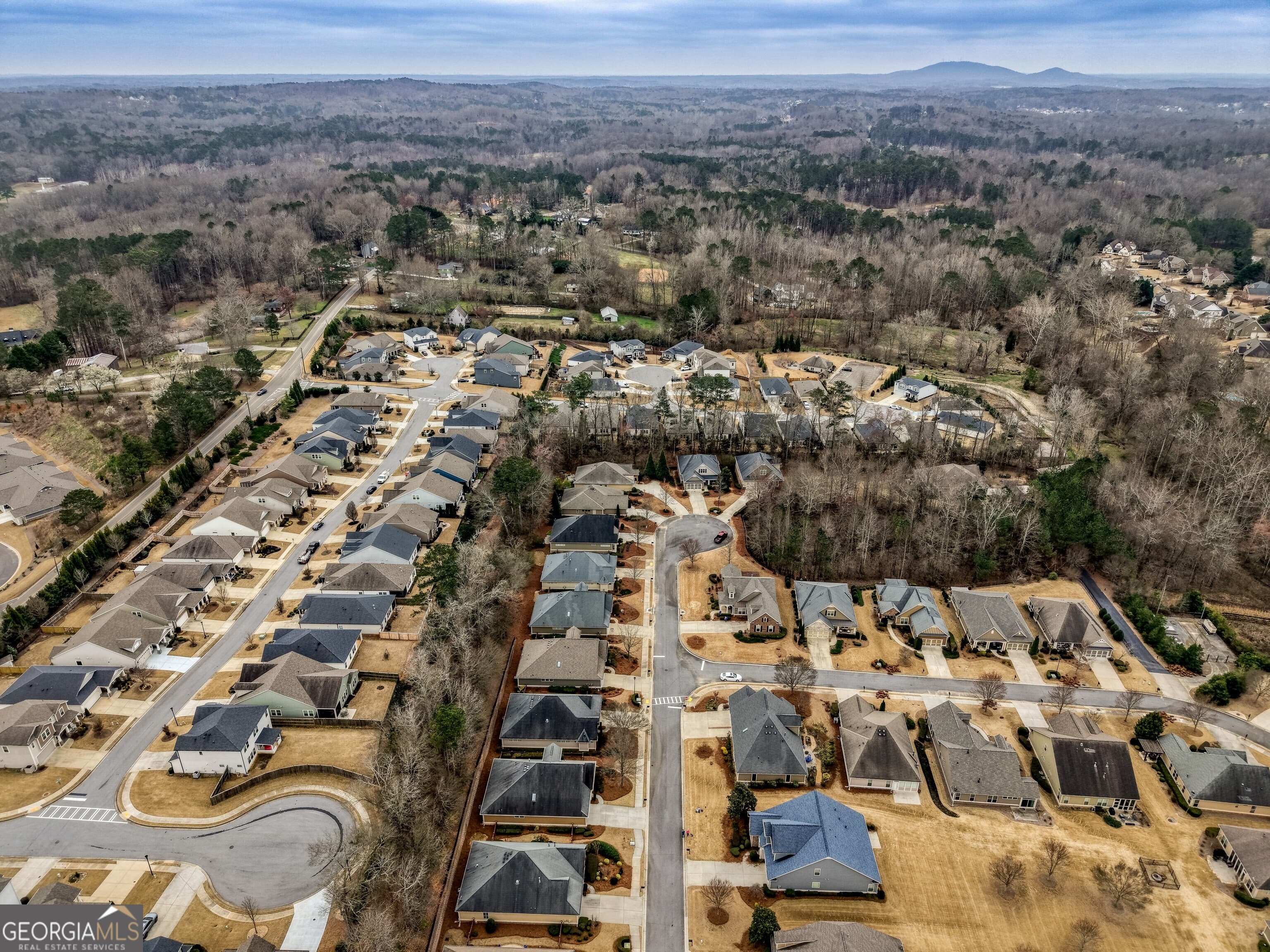 171 Owens Farm Ln — photo 64