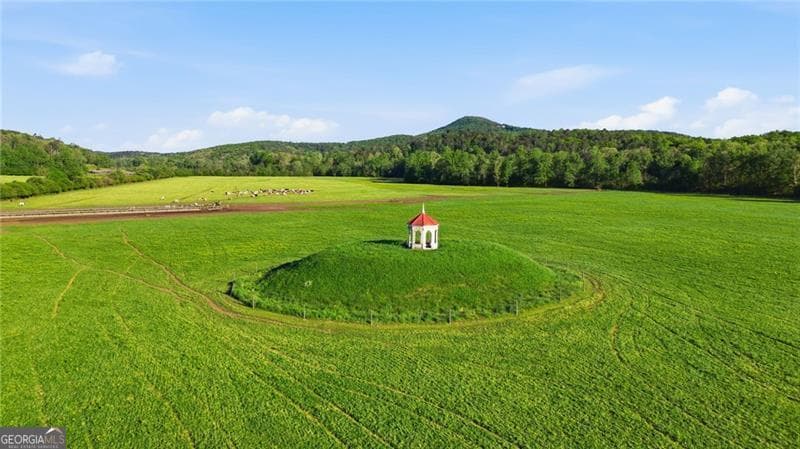 204 Doe Run — photo 40